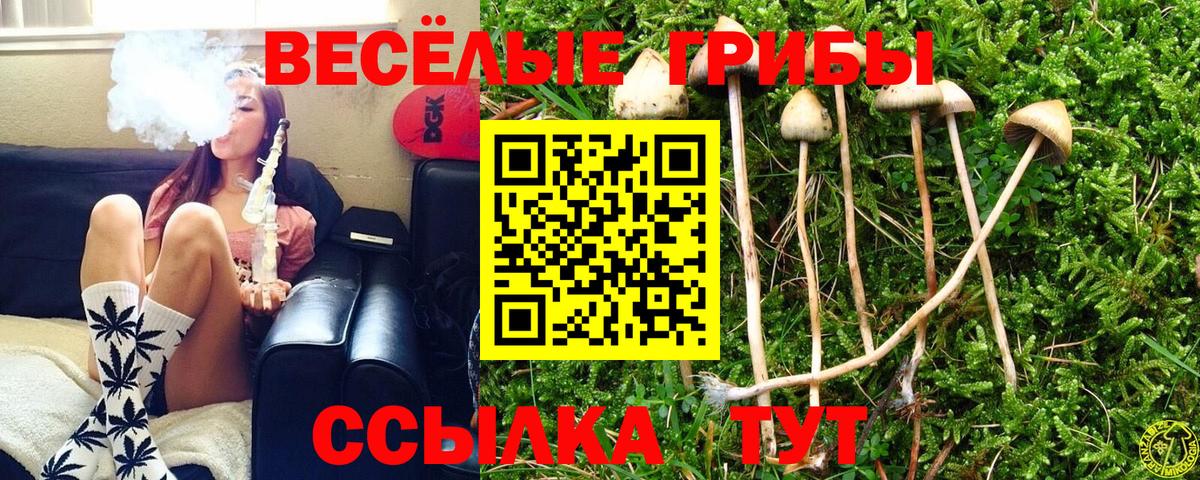 Псилоцибиновые грибы Magic Shrooms  Вход с VPN  Псилоцибиновые грибы ЛСД  Карпинск 